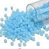 TOHO 6/0 Round Beads X-SEED-TR06-1143-1