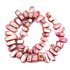 Natural Freshwater Shell Beads Strands X-SHEL-N026-123C-2