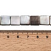 Natural Black Lip Shell Beads Strands SHEL-A006-09A-4