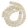 Natural Rainbow Moonstone Beads Strands G-P544-E06-01-3