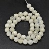 Round Grade A Natural Rainbow Moonstone Bead Strands G-M304-06-8.5mm-2