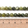 Natural Gemstone Beads GSR6mmC032-12