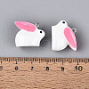 Spray Painted Opaque Resin Pendants RESI-TAC0030-01A-4