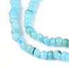 Natural Freshwater Shell Dyed Beads Strands SHEL-T020-29B-02-3