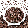 FGB Baking Paint Glass Seed Beads SEED-Q040-09A-08-2