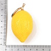 Fruit Theme Resin Big Pendants FIND-E053-01D-G-3