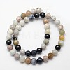 Natural Dendritic Agate Round Beads Strands G-N0166-01-8mm-3