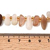 Natural Moonstone Beads Strands G-Z091-A14-5