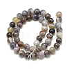 Natural Botswana Agate Beads Strands X-G-S150-24-8mm-2