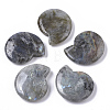 Natural Labradorite Beads X-G-R464-008A-1