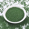 MIYUKI Round Rocailles Beads X-SEED-G007-RR0411F-2