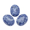 Natural Blue Spot Jasper Cabochons G-P393-I09-1