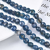 Natural Agate Beads Strands G-N326-100A-11-2