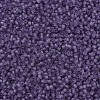 MIYUKI Delica Beads SEED-JP0008-DB1265-3