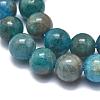 Natural Apatite Beads Strands G-F617-01-12mm-3