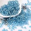 6/0 Glass Seed Beads SEED-T006-04C-06-1