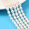 Natural Cultured Freshwater Pearl Beads Strands PEAR-I007-01C-06A-1