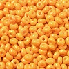 Baking Paint Glass Seed Beads SEED-B001-02A-17-3