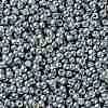 TOHO Round Seed Beads SEED-JPTR08-0565-2