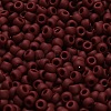 TOHO 6/0 Round Beads SEED-XTR06-0046F-4
