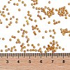 TOHO Round Seed Beads X-SEED-TR11-0303-4