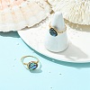 Flat Round Abalone Shell/Paua Shell Finger Rings RJEW-JR01031-1