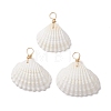 Natural Ark Shell Pendants PALLOY-JF02679-01-1