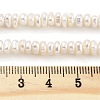 Natural Keshi Pearl Cultured Freshwater Pearl Beads Strands PEAR-C003-31A-5