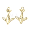 Brass Pendants KK-D289-34B-G-1