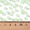 Glass Seed Beads SEED-T008-01D-5