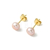 Natural Cultured Freshwater Pearl Stud Earrings EJEW-JE07273-5