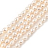 Natural Cultured Freshwater Pearl Beads Strands PEAR-I007-01A-02A-2