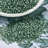 MIYUKI Delica Beads SEED-JP0008-DB2190-1