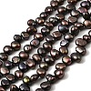 Natural Cultured Freshwater Pearl Beads Strands PEAR-I007-03C-02B-2