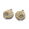 Tibetan Style Alloy Pendants LS-TIBEP-A14120-AB-FF-2