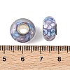 Lampwork & Brass Core European Beads LAMP-P019-01P-28-3