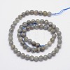 Natural Labradorite Round Bead Strands X-G-I156-01-6mm-2