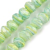 Handmade Lampwork Beads Strands LAMP-T007-13I-1