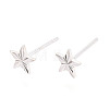 925 Sterling Silver Stud Earrings STER-N017-12B-S-2
