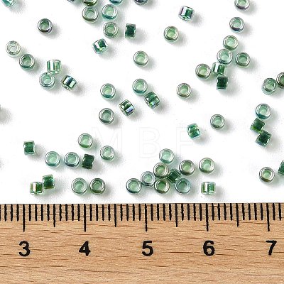 Glass Seed Beads X-SEED-S042-13A-18-1