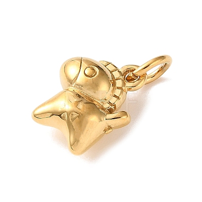 304 Stainless Steel Charms STAS-A152-02G-G-1
