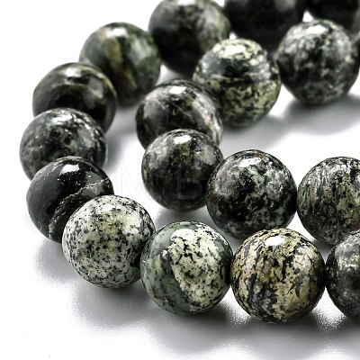 Natural Green Zebra Jasper Beads Strands G-L574-05B-1