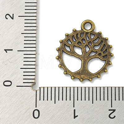 Tibetan Style Alloy Pendants TIBE-I026-5975AB-1