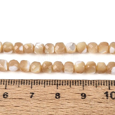 Natural Trochid Shell/Trochus Shell Beads Strands BSHE-T014-53-1