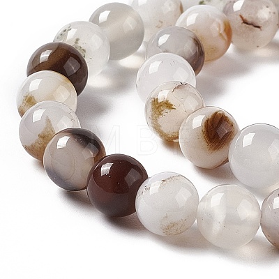 Natural Agate Beads Strands X-G-C011-01B-1