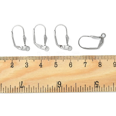 304 Stainless Steel Leverback Earring Findings X-STAS-E007-2-1