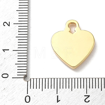 Spray Printed 304 Stainless Steel Pendants STAS-P453-11G-01-1