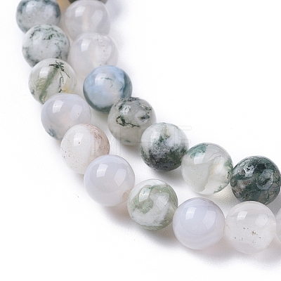 Natural Tree Agate Beads Strands G-L533-22-1
