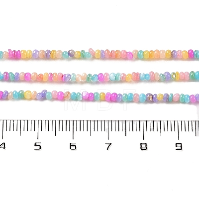 Natural Freshwater Shell Beads Strands SHEL-P017-01A-14-1