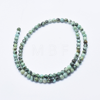 Natural African Turquoise(Jasper) Beads Strands G-E444-47-4mm-1